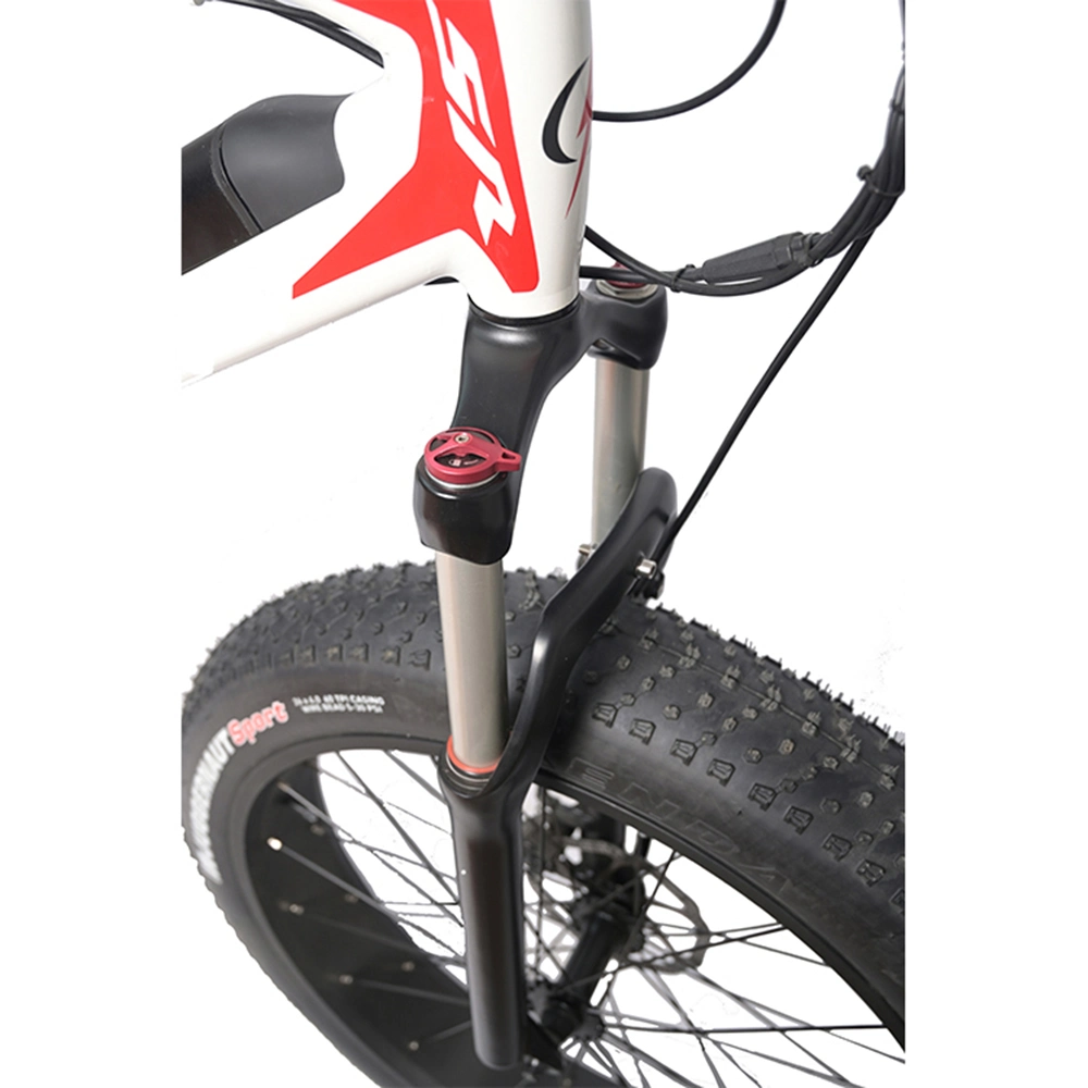 Fast Delivery 29 Mountain Electric Bike Ready Stock with Full Suspension Discbrake Mountain Bicycle