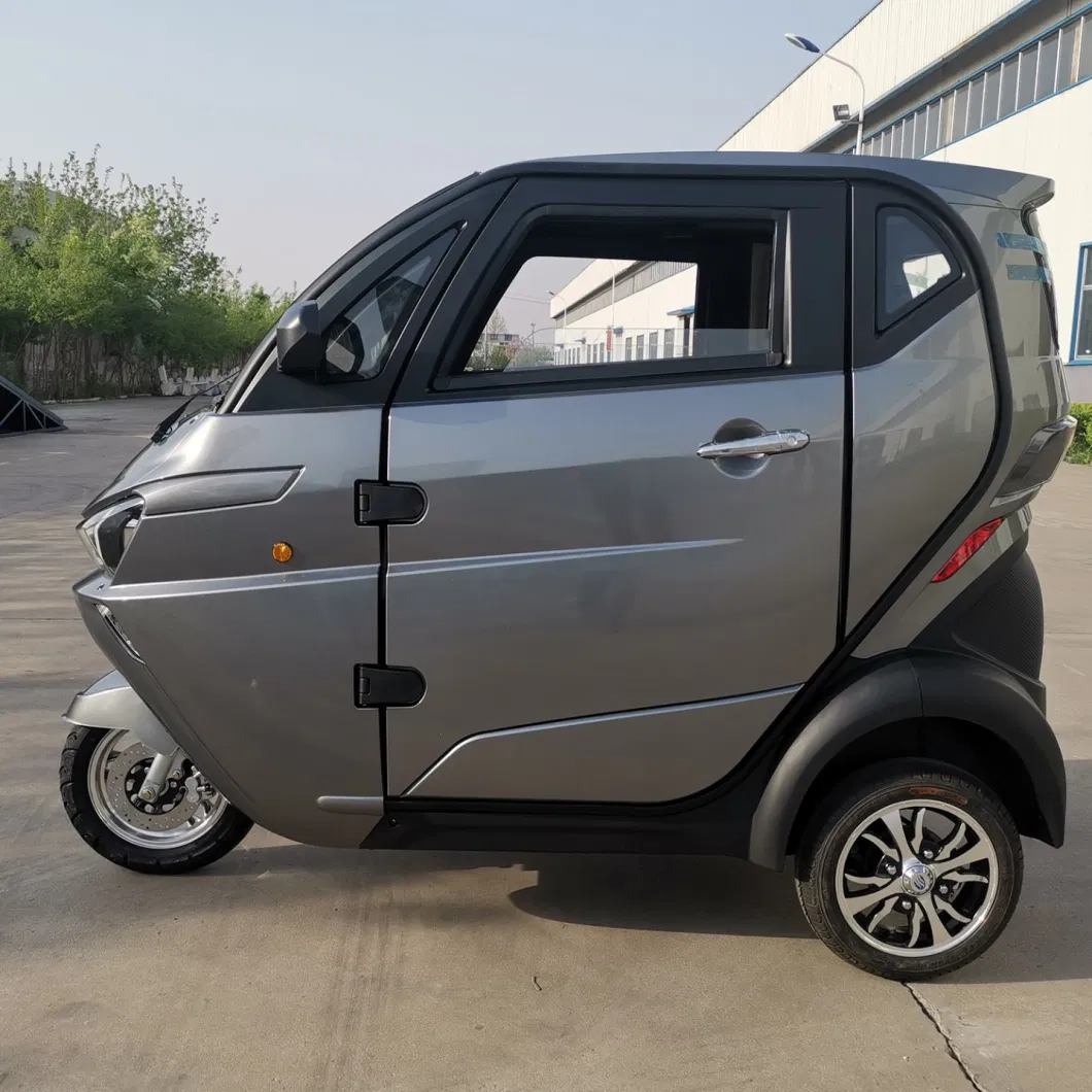 EEC Approval 2 Seater Cabin Scooter Electric Tricycle for Old Person