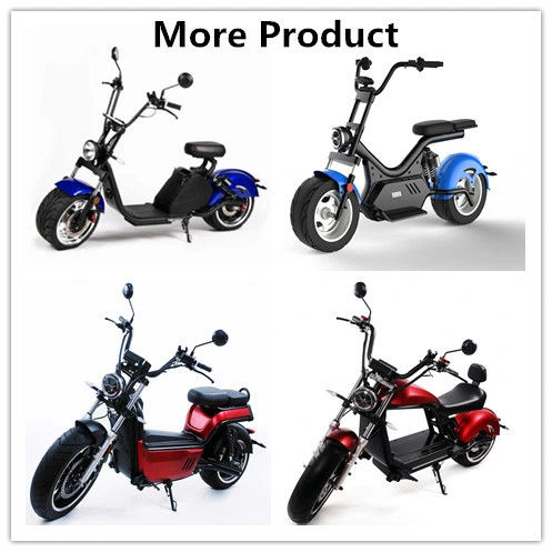 Manned E Bicycle Large Power Capacity Cheap Discount Well Service Safe Luqi Electric Scooters for Adult