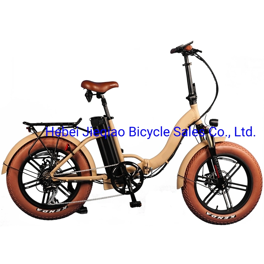 New Model Electric Bike 750W Fat Tire Foldable Electric Bicycle