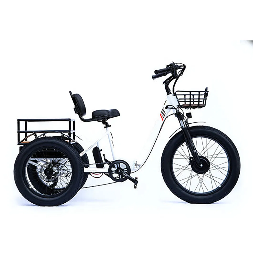 48V/23.2ah Lithium-Ion 4 - 6hours Charging 750W Electric Tricycle Trike Three Wheel Motorcycle for Cargo Use