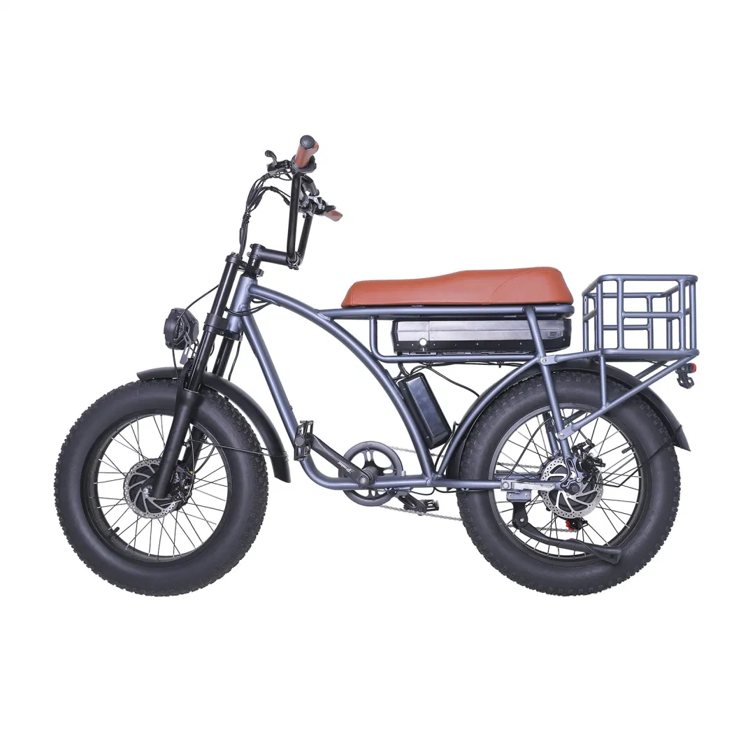 Electric Bike Adult Electric Bike with Pedal Cheap Price Electric Bicycle