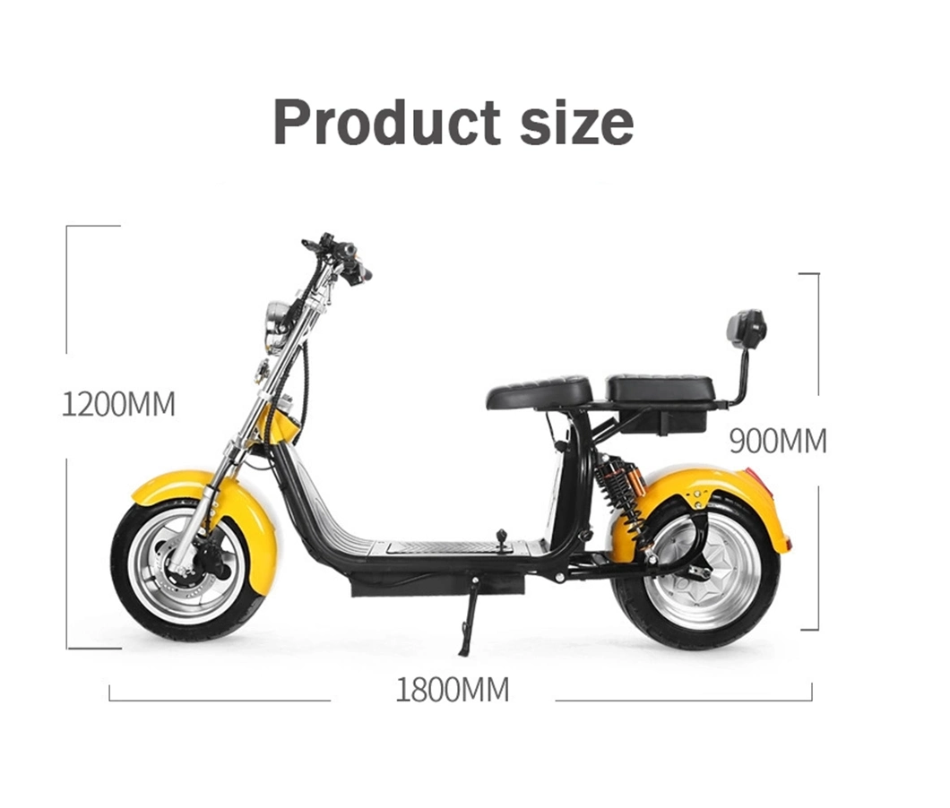 1500 W Electric Scooter Two Wheels Electric Bike for Adults Adult Made in China Electric Scooter