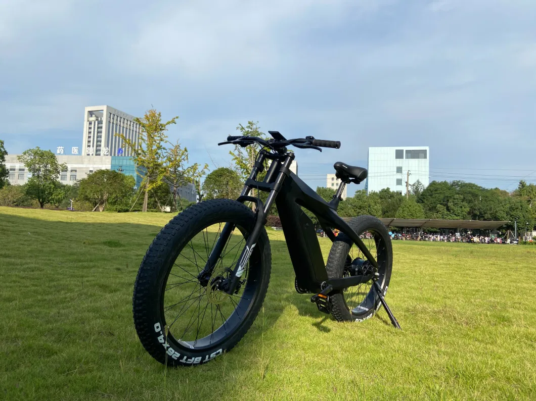 City Cruiser 48V13ah All Terrain 4.0 Inch Wide Fat Tire 750/1000W Beach Cruiser Electric Bike