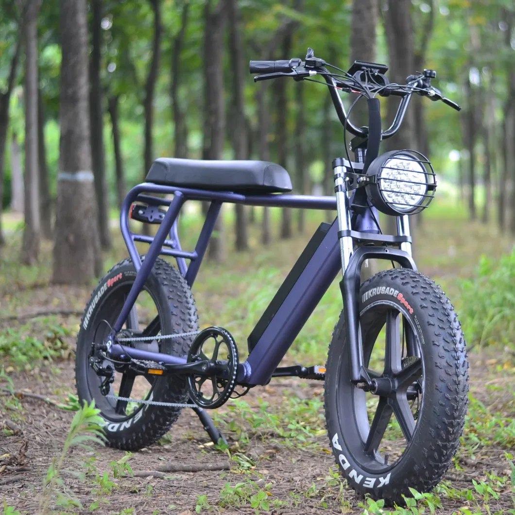 Electric Scooter 48V 13ah 250W Electric Motorcycle with Pedals Disc Brake