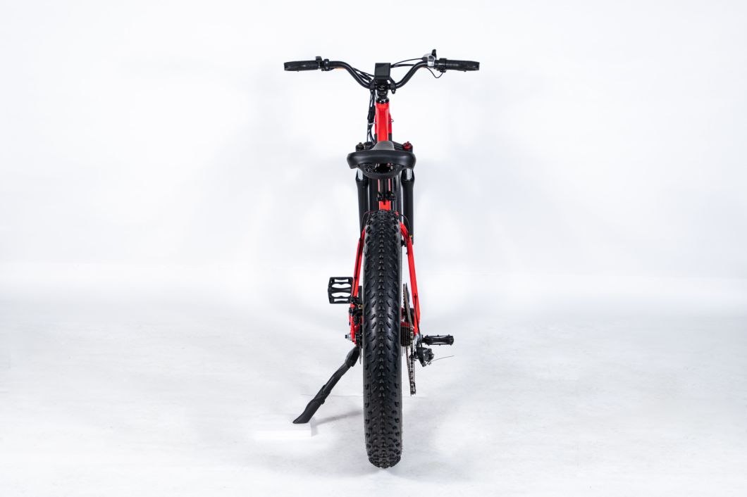 The Factory Supplies High-Quality Electric Bicycles. The Popular Two Wheeled Bicycles Are Electric Bike