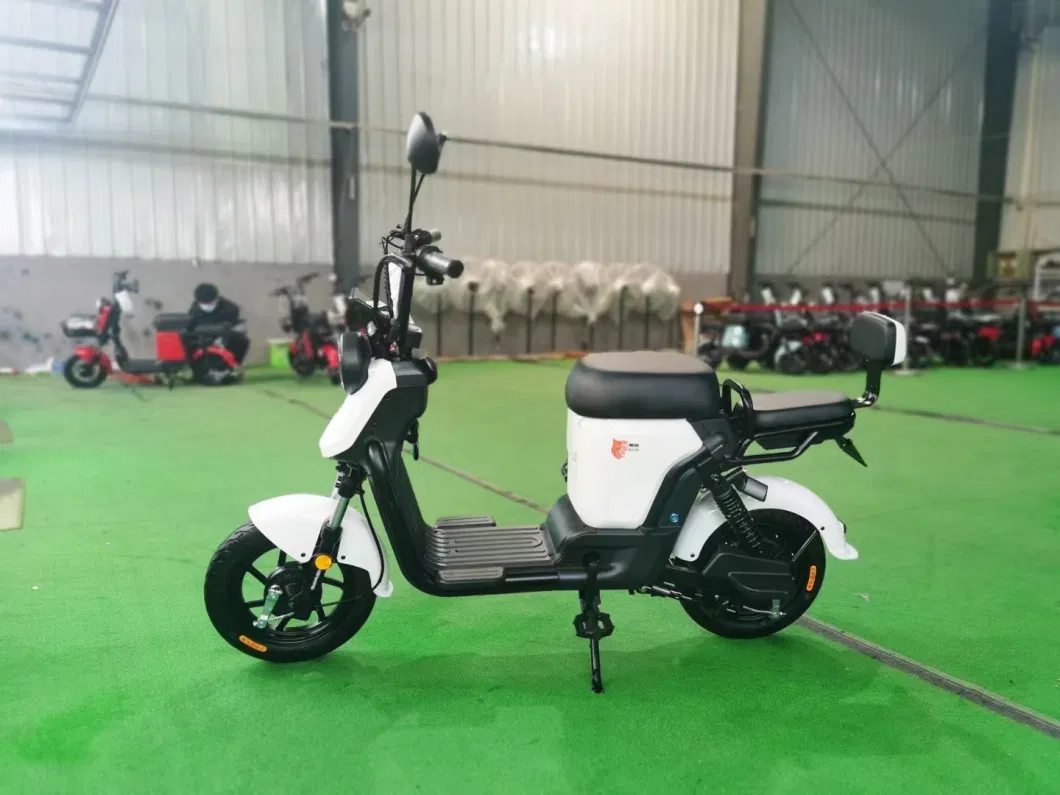High Quality Electric Bicycle 350W Motor 4-8h Recharging Time Best Ebike for Adults