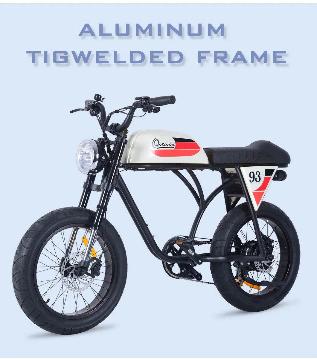 48V Removable Lithium Battery Electric Bicycle Strong Aluminium Frame