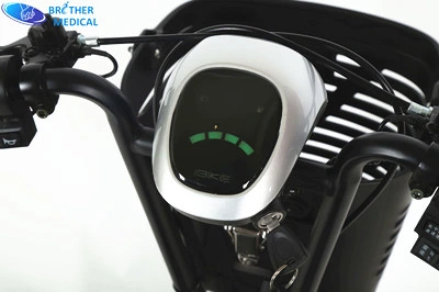 Scooter 3 Wheels Electric Bike for Elderly Disabled Tricycle Electric