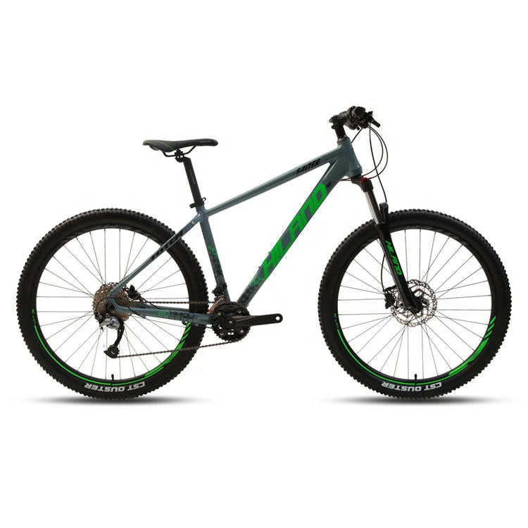 Carbon Fiber Middrive 1000W 48V15ah Electric Mountain Bike