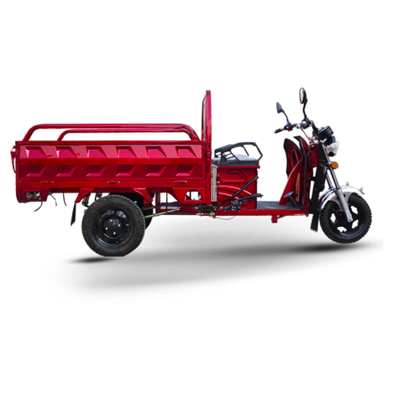 Hot Sale 40km/H Max Speed EEC Three Wheel Cargo Electric Tricycle Trike/Electric Motorcycle