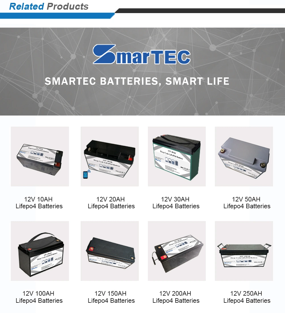 Rechargeable Lithium Battery Pack 12V 24V 36V 48V Li Ion LFP Battery Pack