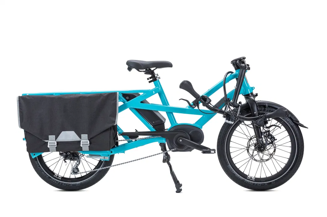 Electric Trike Cargo Electric Cargo Bike /Used Bicycles for Sale in Dutch