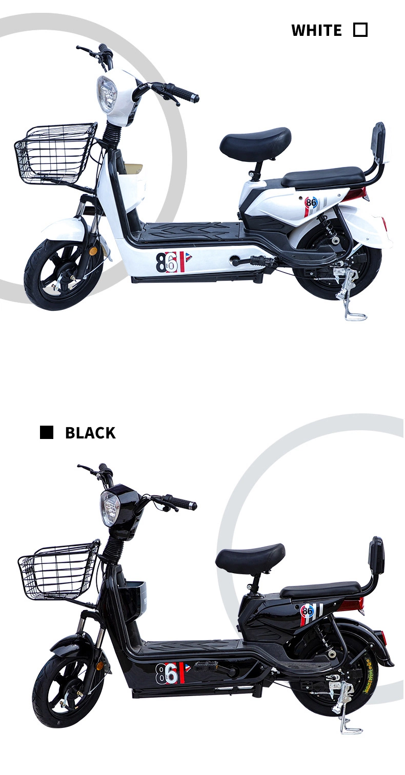 Ready to Ship 48V 350W Motor 14 Inch Fat Tire Electric Bicycle 12ah Battery Not Folding Electric Bike for Adult