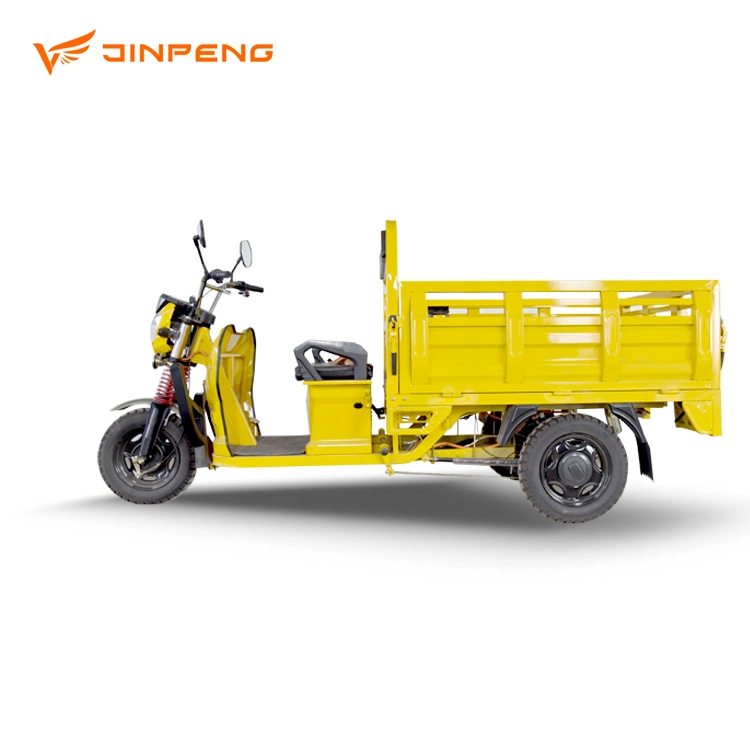 Battery Trike with 1000W Pedicab Open Body