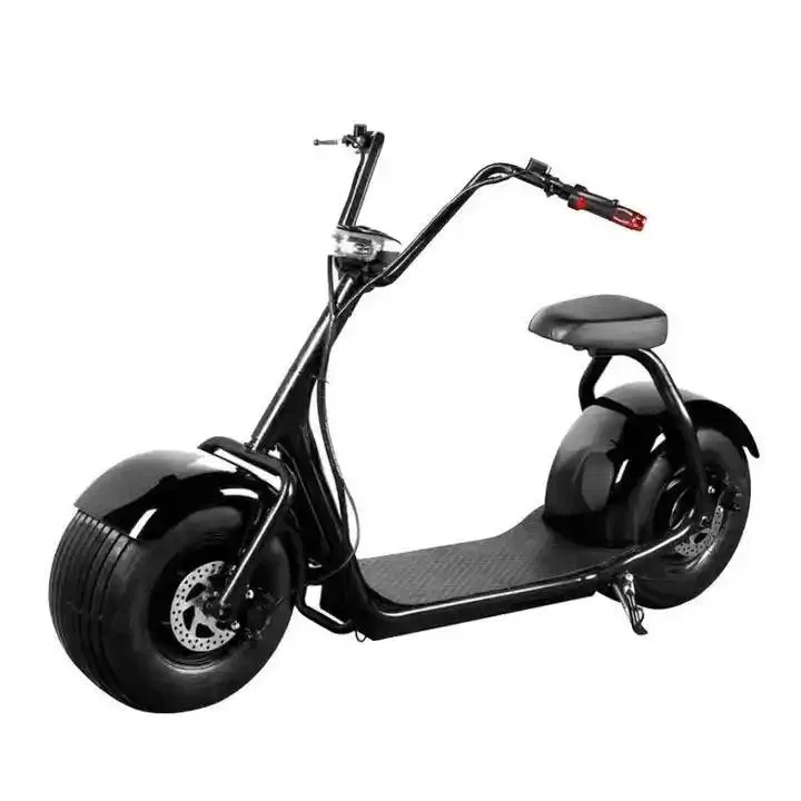 Hot Sale Electric Scooter 48/60V 20ah 2 Seats E Bike Electric Bicycle