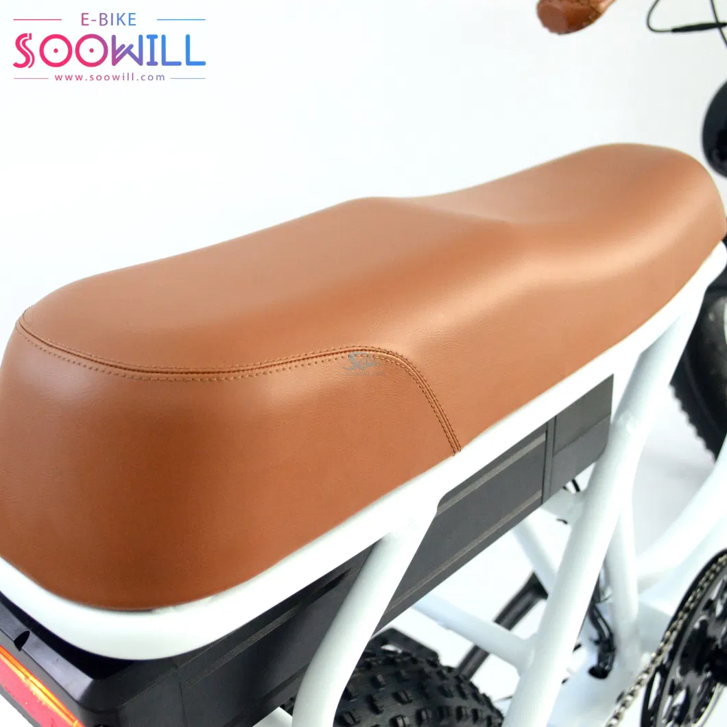 Soowill 20 Inch Battery Moter Cycle for Women Electric City Bike Ebike