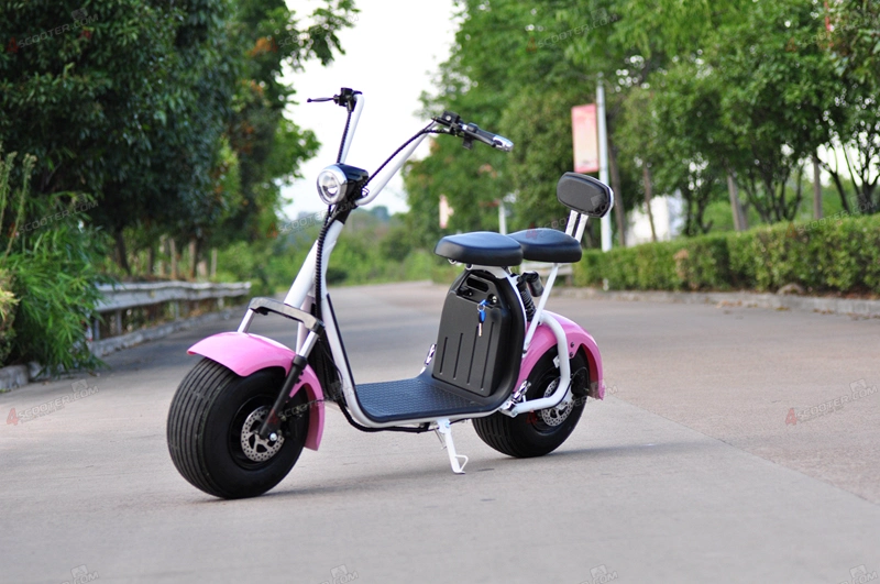 Powerful High Speed Practical Delivery 2 Wheel Bicycle Citycoco Moped Electric Scooter