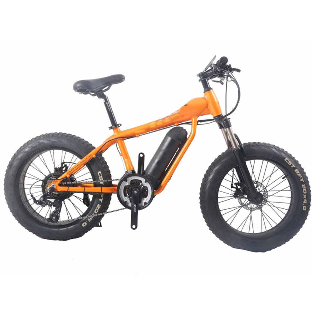 Fat Tire Electric Biycle 350 W Beach Cruiser Chopper Bicycle Bike 20 Inch Fwith Ront and Rear Lights