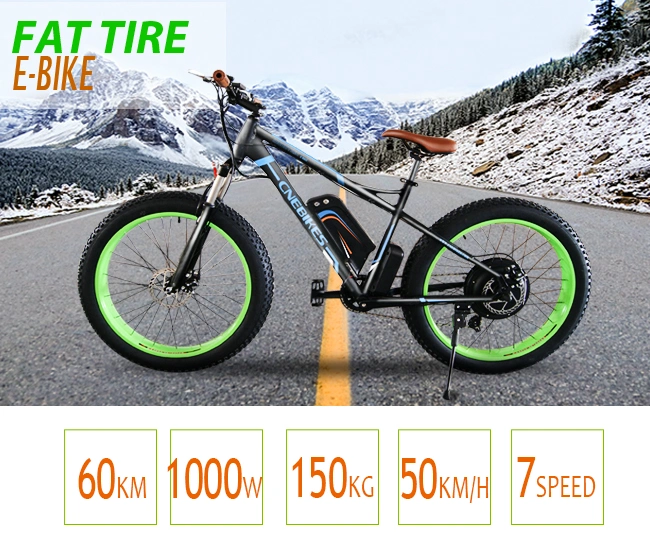 Snow Electric Bicycle 750W Motor Fat Tire 26&prime; Electric Bike