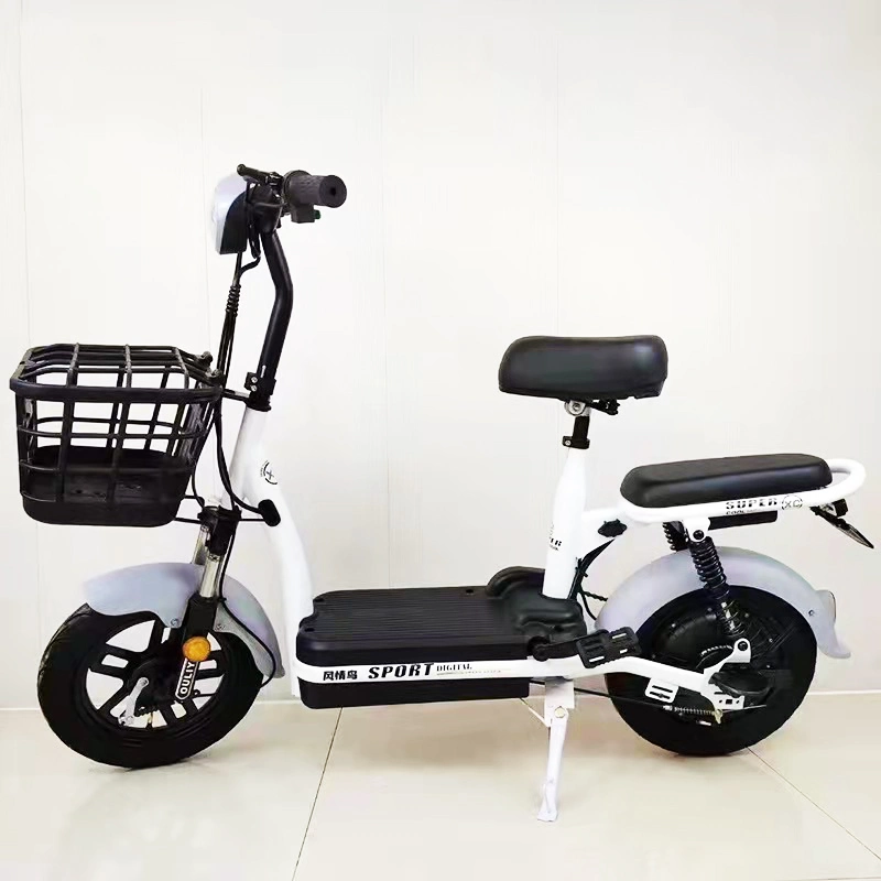 Two Seat 48V 12A Classic Design City Bike Model Electric Bike Cheap Chinese Electric Bike