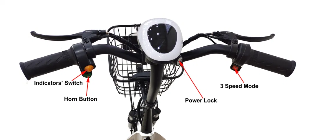 Electric Scooter Pedal Bike for Adults