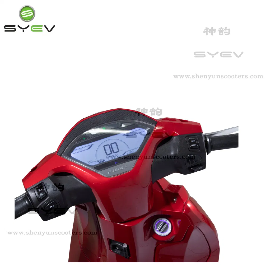 High Quality Adult Electric Bike Motorcycle Scooter with 3000W Motor for Sale T500