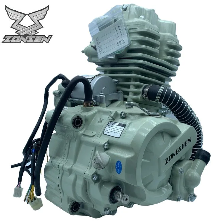 OEM Zongshen motorcycle 300cc High Displacement Water-Cooled Engine Fit for Three-Wheels Moto Freight
