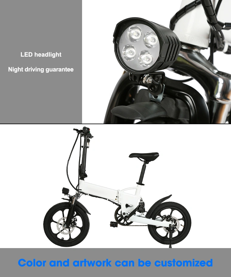 250W 36V Ebike E-Bicycle Wholesale Bikes Bicycle Fast Electric Dirt E Bike