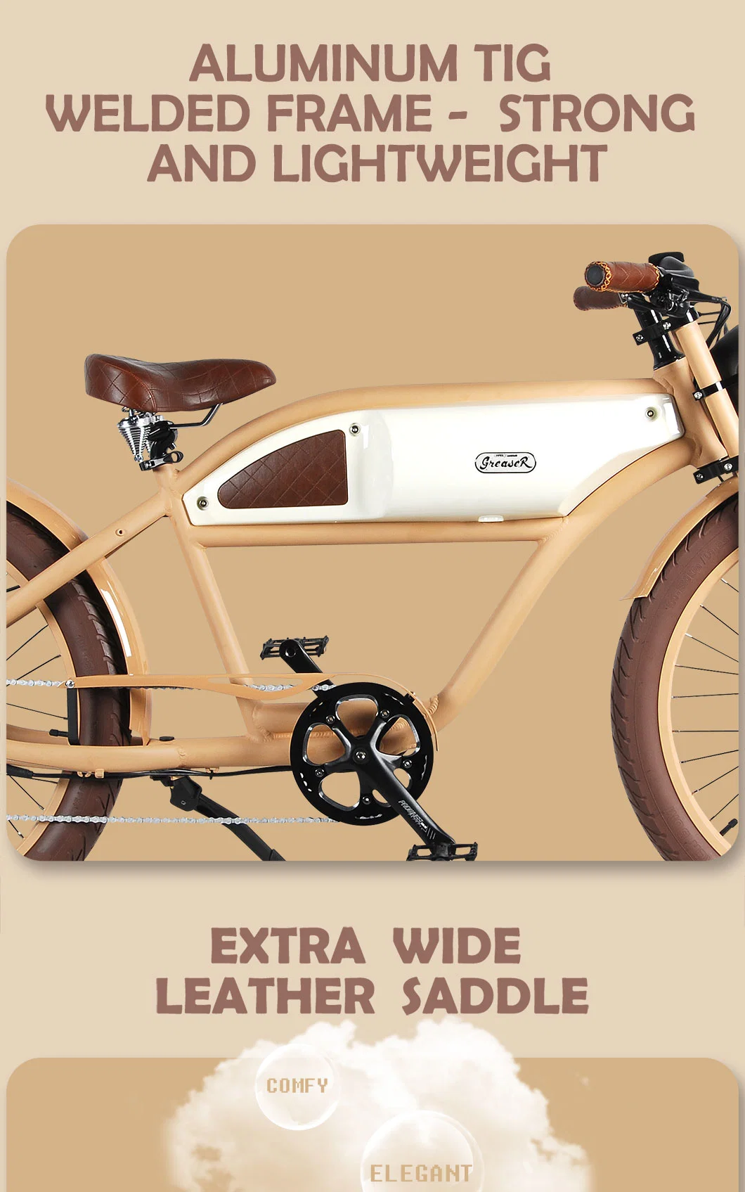 Adult Electric Bicycle with 3.0 X 26 Inch Big Wheel Electric Motorcycles with EEC