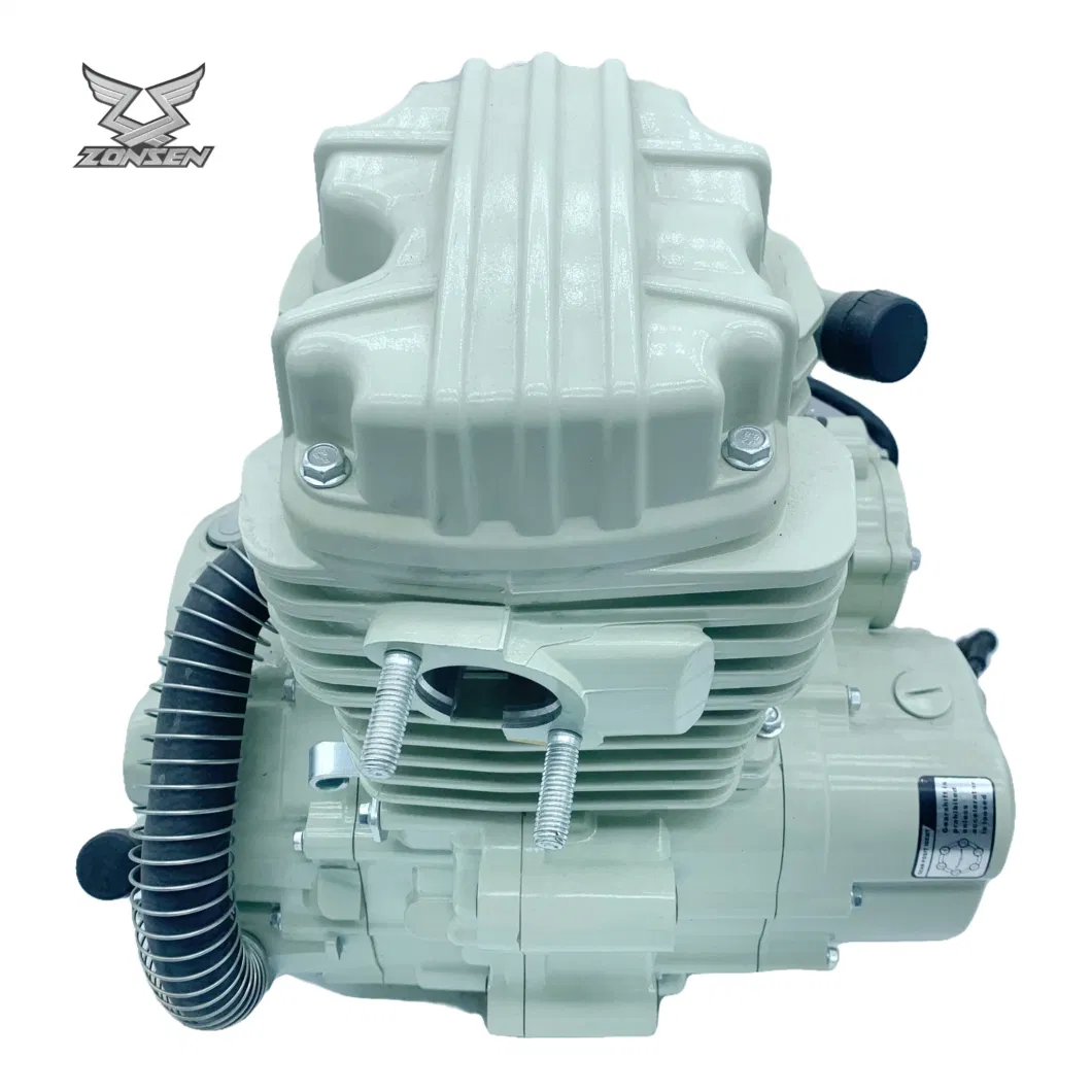 OEM Zongshen motorcycle 300cc High Displacement Water-Cooled Engine Fit for Three-Wheels Moto Freight