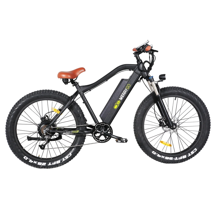 350W Electric Bicycle En15194 26&quot; Alloy Frame Beach Bike