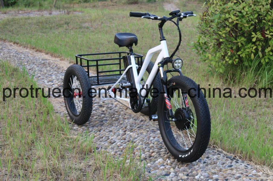 48V 500W Front Motor Electric Tricycle Bicycle