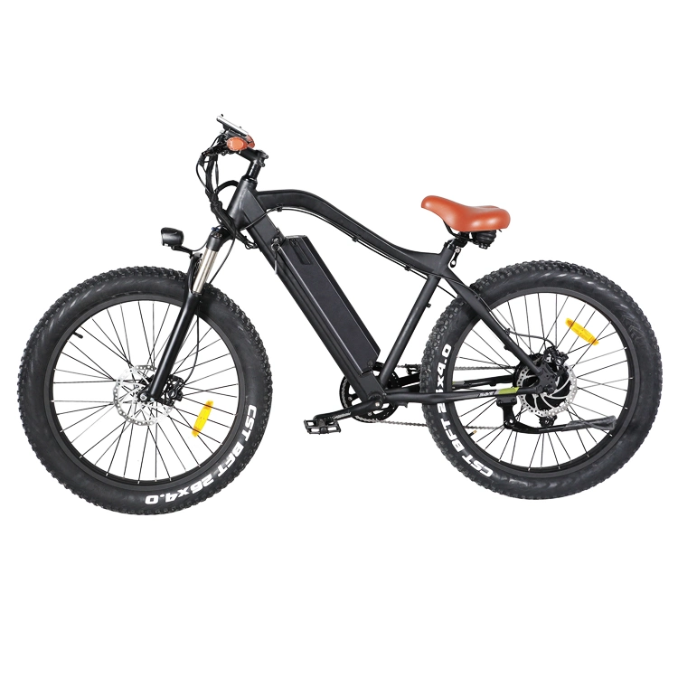 350W Electric Bicycle En15194 26&quot; Alloy Frame Beach Bike