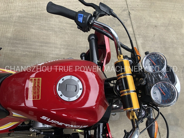 Three Wheel Motorcycle Gasoline Tricycle a L&prime;essence with Bluetooth MP3
