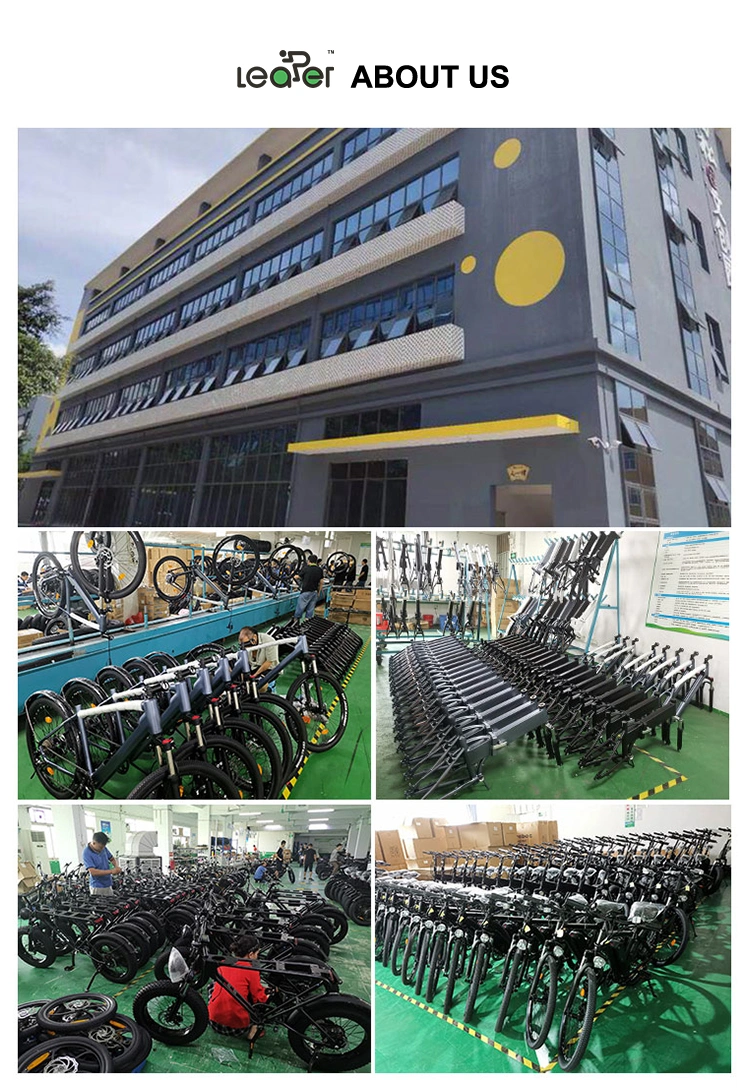 40-120km Ebike Factory Price 1000W 20 Inch Fat Tyre Hidden Battery Electric Bike