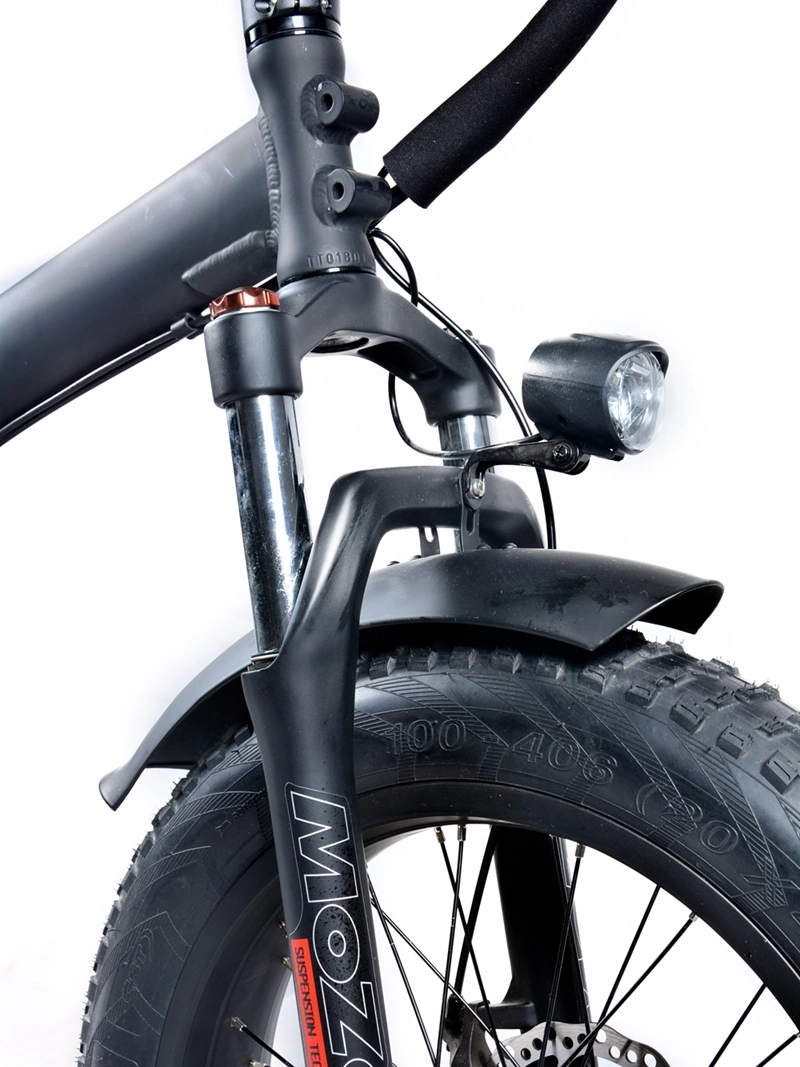 Electric Fat Bike Electric Bicycle 1000W 20inch Folding Fat Tire Ebike for Sale