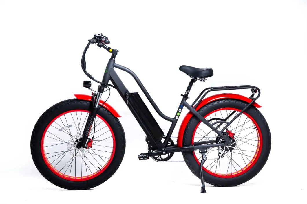 26&prime; Fat Tire Ebike Fat Tire Electric Bike Pedelec Beach Cruise Electric Bike