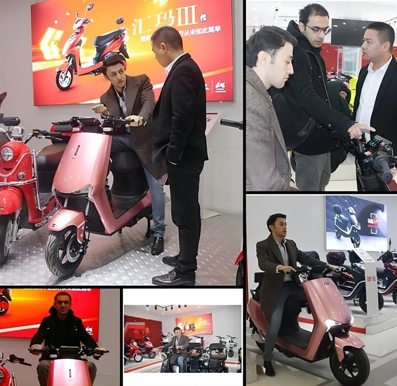 Tjhm-016t Wholesale Sale 2023 New Battery Car 48V Scooter Charging Moped Adult Men and Women Walking Electric Bicycles