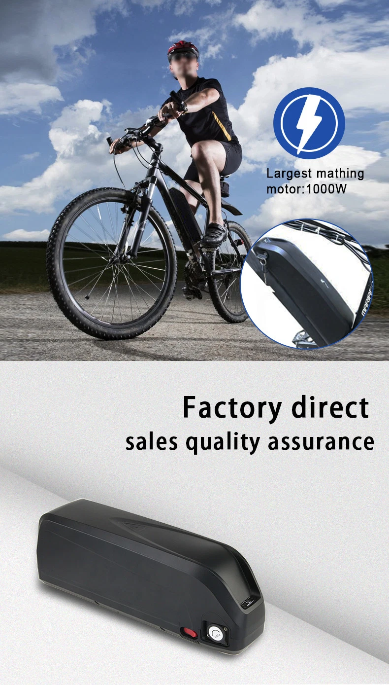 High-Quality Hailong No. 1 Battery for Electric Bicycle/Escooter/Richshaw/Tricycle/Motor Cycle/City Bike/MTB