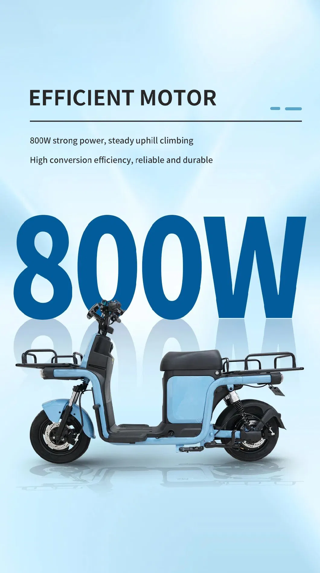 Long Distance Food Delivery Scooter Electric Adult 48V 800W Hub Motor Electric Cargo Bike Hydraulic Suspension Electric Moped