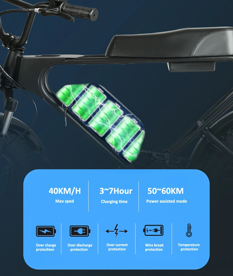 20 Inch 48V 17.5ah Battery Cycle Low Cost High Range Bike Electric Bicycle