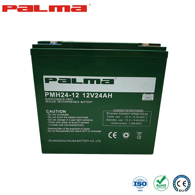 Palma AGM/Gel Battery 12V 24ah China Manufacturing Electric Bicycle Scooter Boat Wholesale Battery