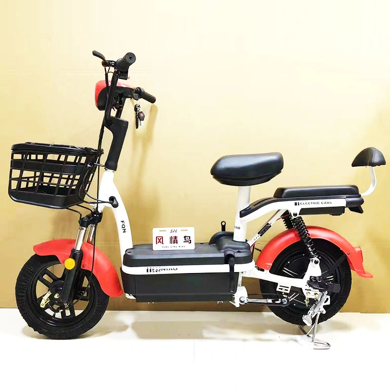 Two Seat 48V 12A Classic Design City Bike Model Electric Bike Cheap Chinese Electric Bike