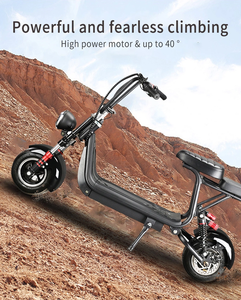 Adult Two Wheel 800W Electric Mini Two Seat Bike Citycoco Scooter