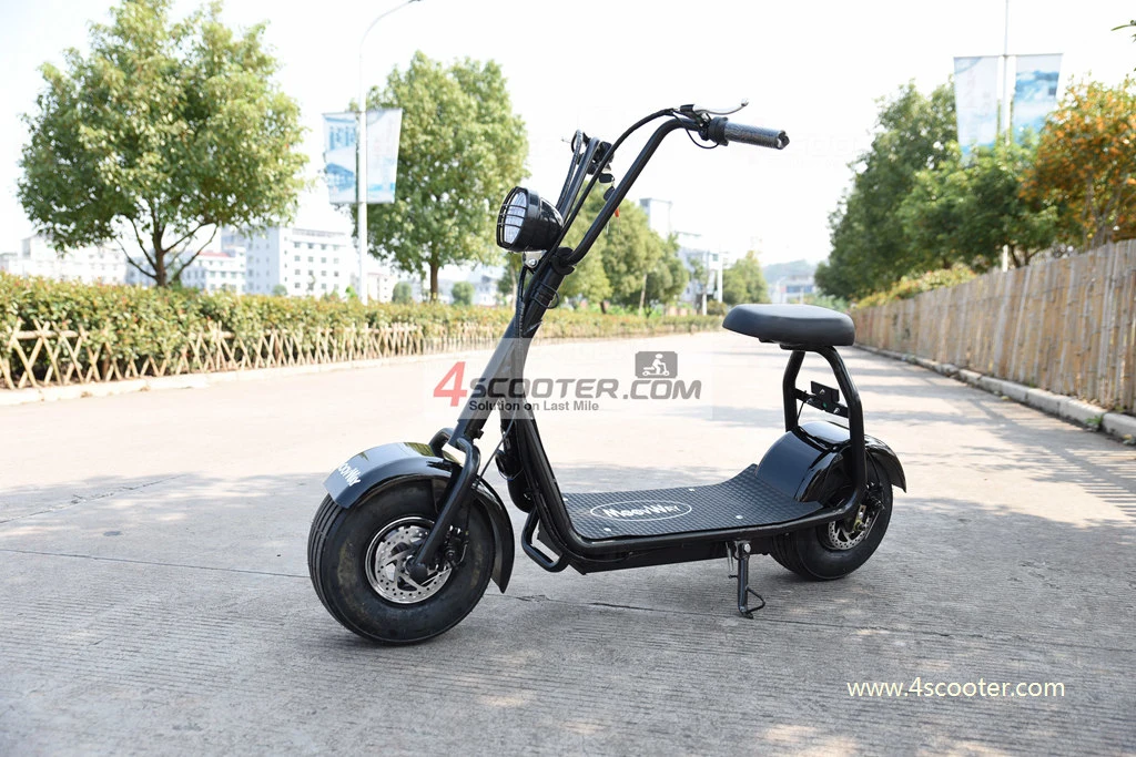 New Type 2 Wheel Electric Scooter 500W 1000W on Sales Promotion 2013 Electric Bicycle