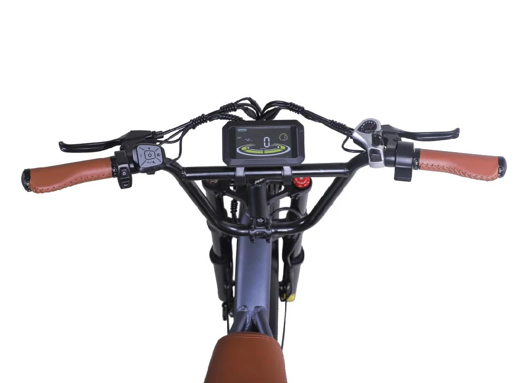 2000W and 48V High Performance Electric Bicycle with Fat Tire Electric Bike