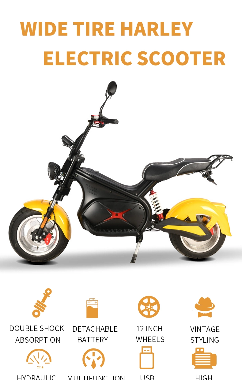 3000W EEC Coc Electric Scooter Citycoco Hot Sell Electric Scooter Citycoco Motorcycle Electric Scooters