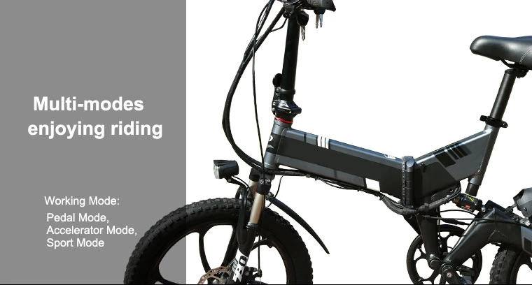 36V 45kph (Pedal+ accelerator) Foldable Folding E- Bike Cheapest Electric Bicycle E-Bicycle OEM