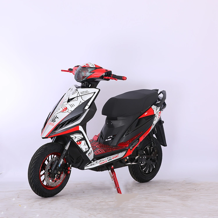 Electric off-Road Waterproof Scooter Electric Motorcycle Adult Electric Bicycle 1000 Watts